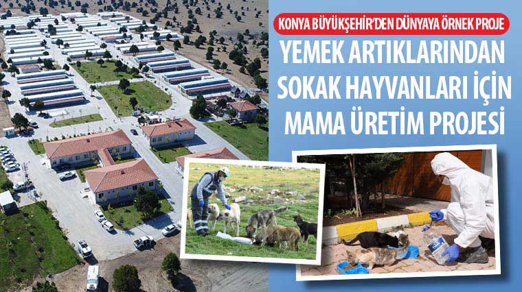 Konya Büyükşehir’den Dünyaya Örnek Proje