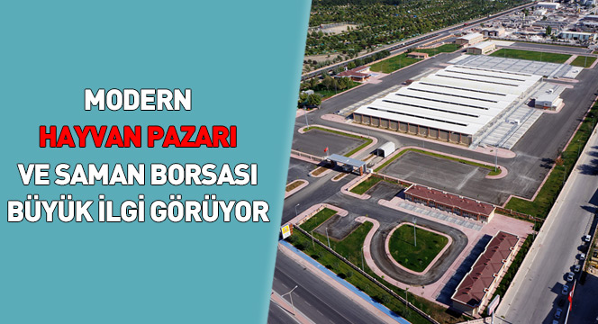 Modern Hayvan Pazarı ve Saman Borsası Büyük İlgi Görüyor