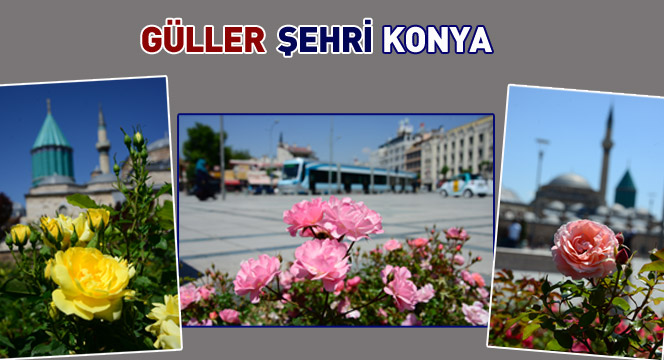 Güller Şehri Konya