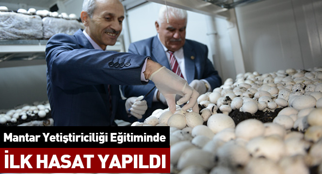 Mantar Yetiştiriciliği Eğitiminde İlk Hasat Yapıldı