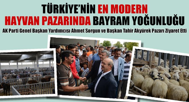 Türkiye`nin En Modern Hayvan Pazarında Bayram Yoğunluğu