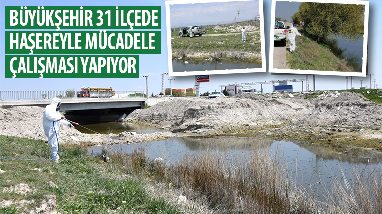 Büyükşehir 31 İlçede Haşereyle Mücadele Çalışması Yapıyor